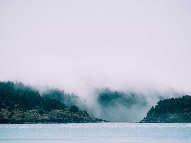 sudoku zen mode screenshot 4